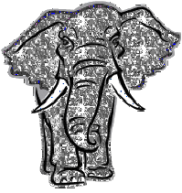 Elephant Picture
