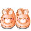 Bunny Slippers Picture
