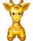 Giraffe Picture