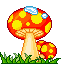 Mushroom Picture
