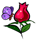 Butterfly And Rose Picture