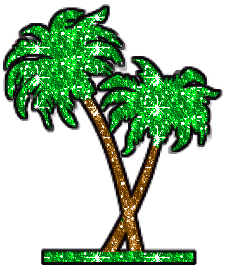 Palm Trees