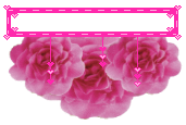pre-made-blinkies b pink flowers image