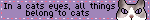 Belong To Cats Picture