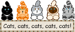 pre-made-blinkies cats cats cats image