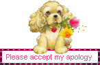 pre-made-blinkies please accept my apology image