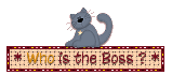 pre-made-blinkies who is the boss image