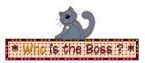 Who Is The Boss