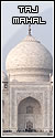 Taj Mahal Picture
